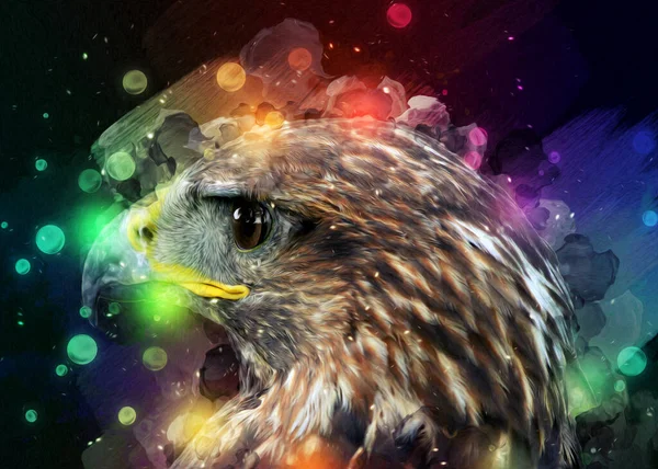 Falcon Aterrizaje Swoop Mano Dibujar Pintar Color Ilustración Fondo Halcón — Foto de Stock