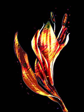 Resim resimli klasik arkaplan