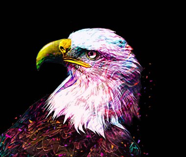 Kel kartal el çizimi ve beyaz arkaplan çizimi üzerine çullanır