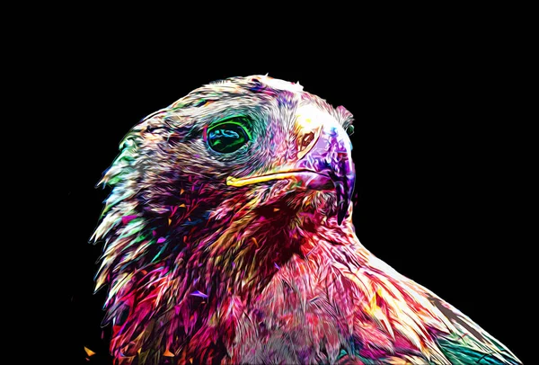 Bald Eagle Swoop Lądowania Strony Rysunku Farby Białym Tle Ilustracji — Zdjęcie stockowe