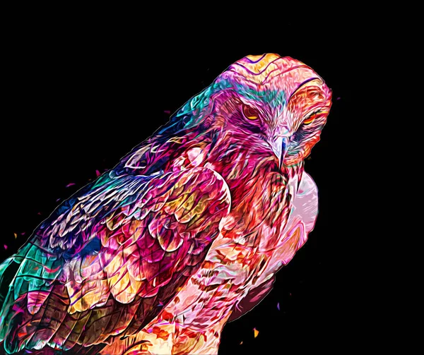 Falcon Atterrissage Swoop Main Dessiner Peindre Couleur Sur Illustration Fond — Photo