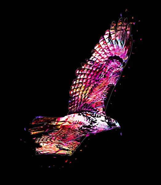 Falcon Atterrissage Swoop Main Dessiner Peindre Couleur Sur Illustration Fond — Photo