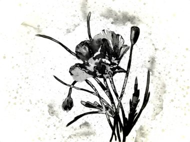 Resim resimli klasik arkaplan