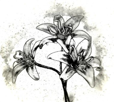 Resim resimli klasik arkaplan