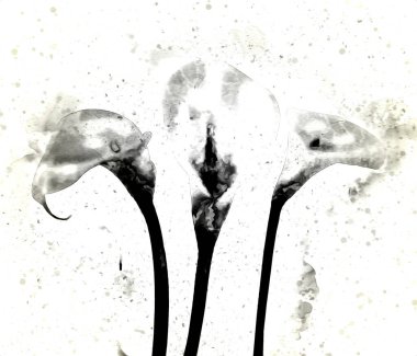 Resim resimli klasik arkaplan