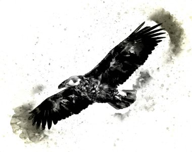 Kel kartal el çizimi ve beyaz arkaplan çizimi üzerine çullanır