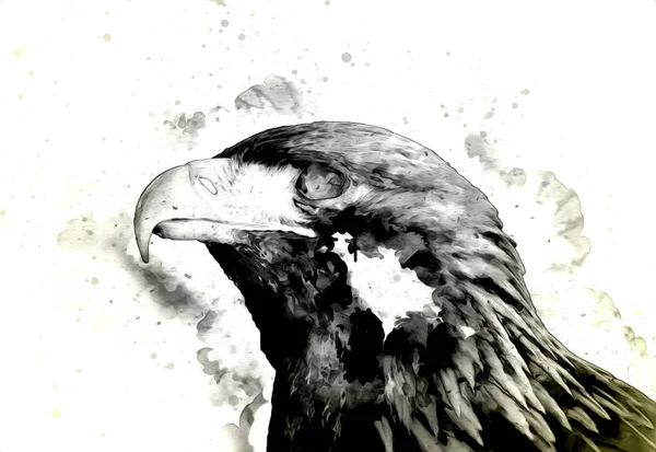 Kel kartal el çizimi ve beyaz arkaplan çizimi üzerine çullanır