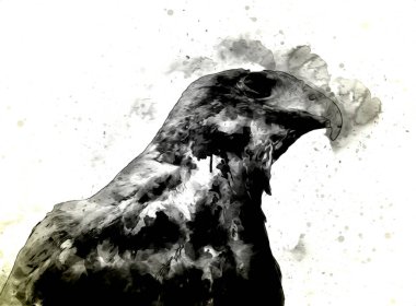 Falcon, arka plan illüstrasyonuna el çizimi ve boya rengi, şahin klasik retro