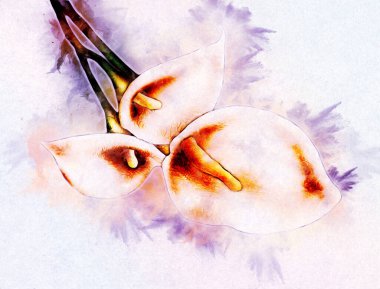 Resim resimli klasik arkaplan