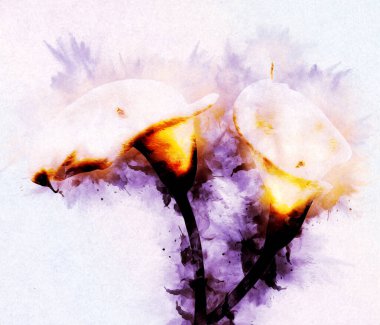 Resim resimli klasik arkaplan