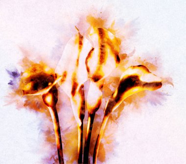 Resim resimli klasik arkaplan