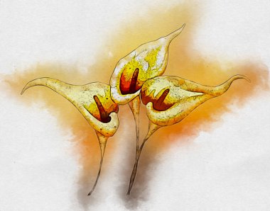 Resim resimli klasik arkaplan