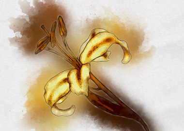 Resim resimli klasik arkaplan