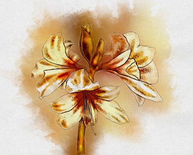 Resim resimli klasik arkaplan