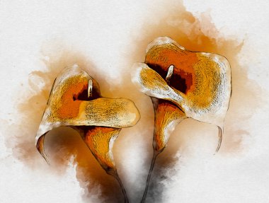 Resim resimli klasik arkaplan