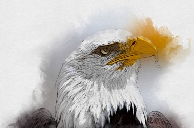 Kel kartal el çizimi ve beyaz arkaplan çizimi üzerine çullanır