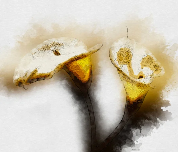 Resim resimli klasik arkaplan