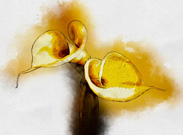 Resim resimli klasik arkaplan