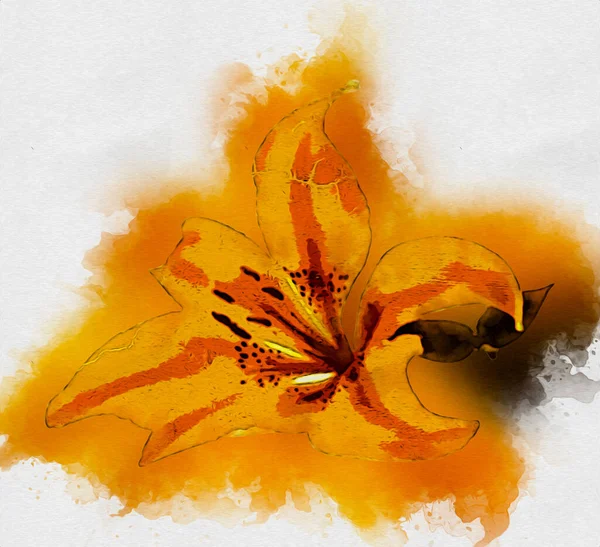 Resim resimli klasik arkaplan