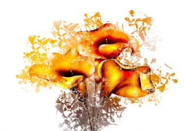 Resim resimli klasik arkaplan