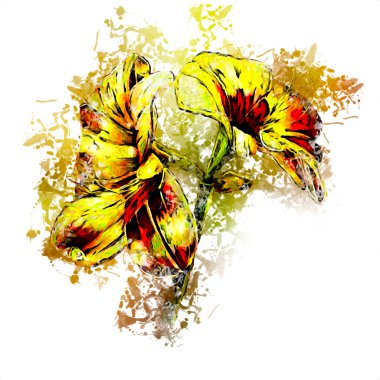 Resim resimli klasik arkaplan