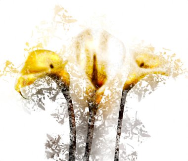 Resim resimli klasik arkaplan