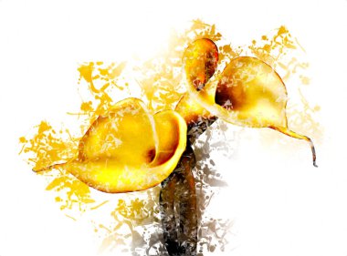 Resim resimli klasik arkaplan