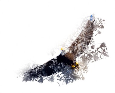 Kel kartal el çizimi ve beyaz arkaplan çizimi üzerine çullanır