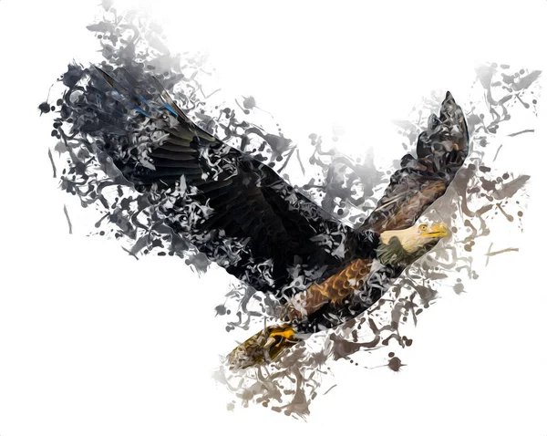 秃鹰俯冲着着陆手绘并在白色背景图上作画 — 图库照片