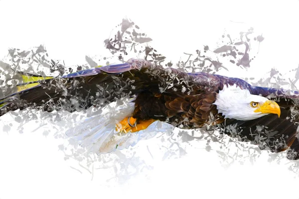 Bald Eagle Swoop Lądowania Strony Rysunku Farby Białym Tle Ilustracji — Zdjęcie stockowe