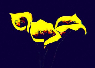 Resim resimli klasik arkaplan