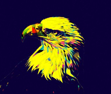 Kel kartal el çizimi ve beyaz arkaplan çizimi üzerine çullanır