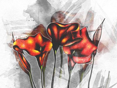 Resim resimli klasik arkaplan