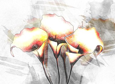 Resim resimli klasik arkaplan