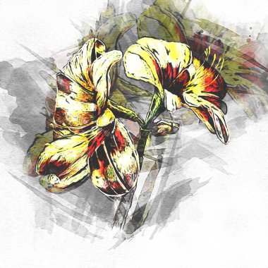 Resim resimli klasik arkaplan