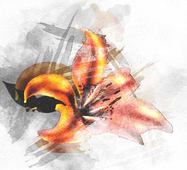 Resim resimli klasik arkaplan