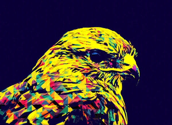 Falcon Atterrissage Swoop Main Dessiner Peindre Couleur Sur Illustration Fond — Photo