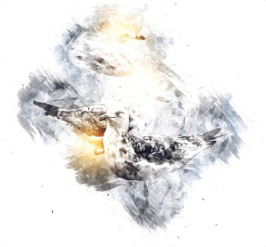 Atlantik beyaz deniz kuşu gökyüzünde uçar. Plaj martısı. Deniz kuşları, martı çizgi film çizimleri.