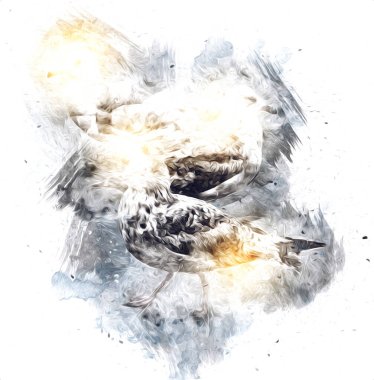 Atlantik beyaz deniz kuşu gökyüzünde uçar. Plaj martısı. Deniz kuşları, martı çizgi film çizimleri.