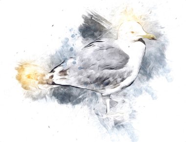 Atlantik beyaz deniz kuşu gökyüzünde uçar. Plaj martısı. Deniz kuşları, martı çizgi film çizimleri.