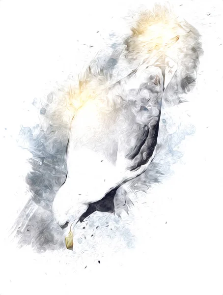Atlantische Witte Zeevogel Vliegen Lucht Strandmeeuw Zeevogels Meeuw Tekenfilm Illustratie — Stockfoto