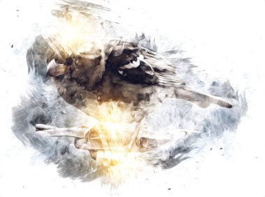 Serçe kuşu klasik illüstrasyon sanatı eskiz çiziyor antika eski