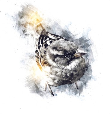 Serçe kuşu klasik illüstrasyon sanatı eskiz çiziyor antika eski