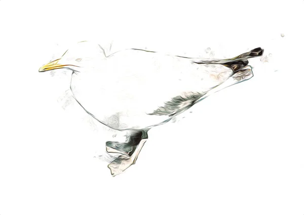 Gli Uccelli Marini Bianchi Dell Atlantico Volano Verso Cielo Gabbiano — Foto Stock