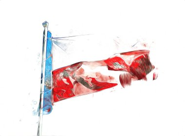 Polonya, izole edilmiş arkaplan resimlerine bayrak sallıyor.