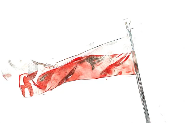 Polonya Izole Edilmiş Arkaplan Resimlerine Bayrak Sallıyor — Stok fotoğraf