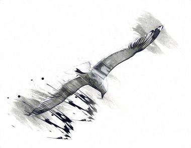 Atlantik beyaz deniz kuşu gökyüzünde uçar. Plaj martısı. Deniz kuşları, martı çizgi film çizimleri.