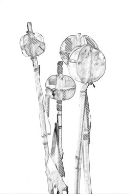 Rüzgarda dalgalanan renkli deniz yelkenli bayrakları sanat eseri çizimleri