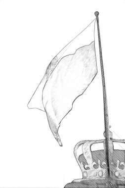 Polonya, izole edilmiş arkaplan resimlerine bayrak sallıyor.