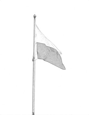 Polonya, izole edilmiş arkaplan resimlerine bayrak sallıyor.